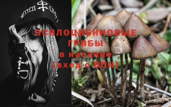 спайс Инта