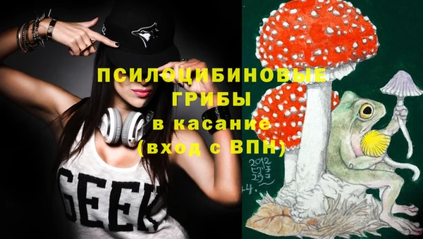 спайс Инта